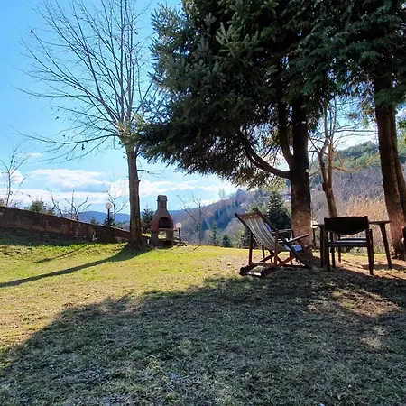 The Village